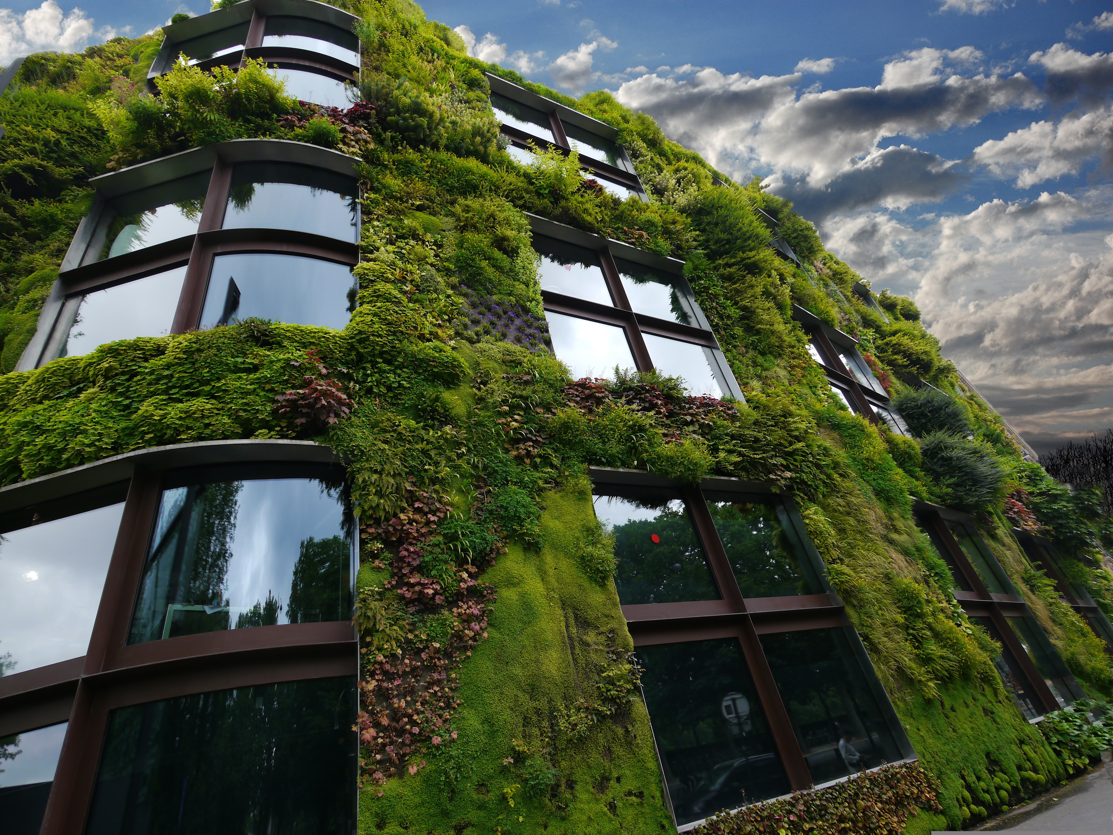 Maison écologique intégrée dans son environnement paysager – infographie The Green Vision